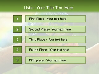 A Person Holding A Small Earth In Their Hands PowerPoint Template