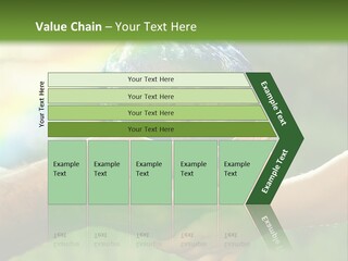 A Person Holding A Small Earth In Their Hands PowerPoint Template