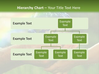 A Person Holding A Small Earth In Their Hands PowerPoint Template