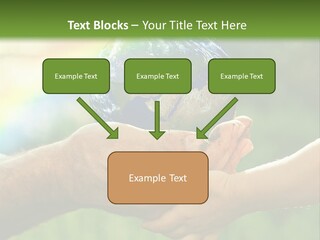 A Person Holding A Small Earth In Their Hands PowerPoint Template