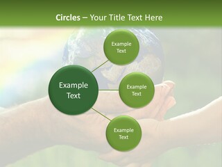 A Person Holding A Small Earth In Their Hands PowerPoint Template