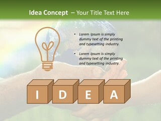 A Person Holding A Small Earth In Their Hands PowerPoint Template