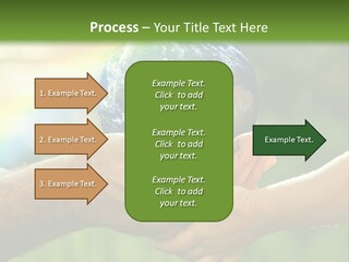 A Person Holding A Small Earth In Their Hands PowerPoint Template