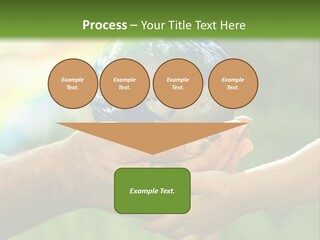 A Person Holding A Small Earth In Their Hands PowerPoint Template
