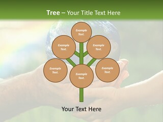 A Person Holding A Small Earth In Their Hands PowerPoint Template