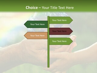 A Person Holding A Small Earth In Their Hands PowerPoint Template