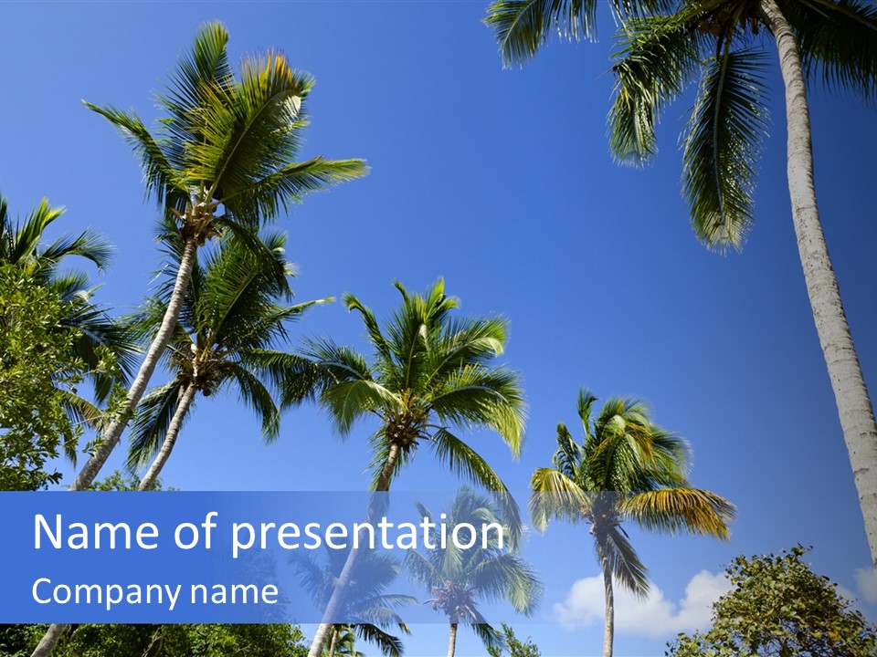 A Powerpoint Presentation With Palm Trees And Blue Sky PowerPoint Template