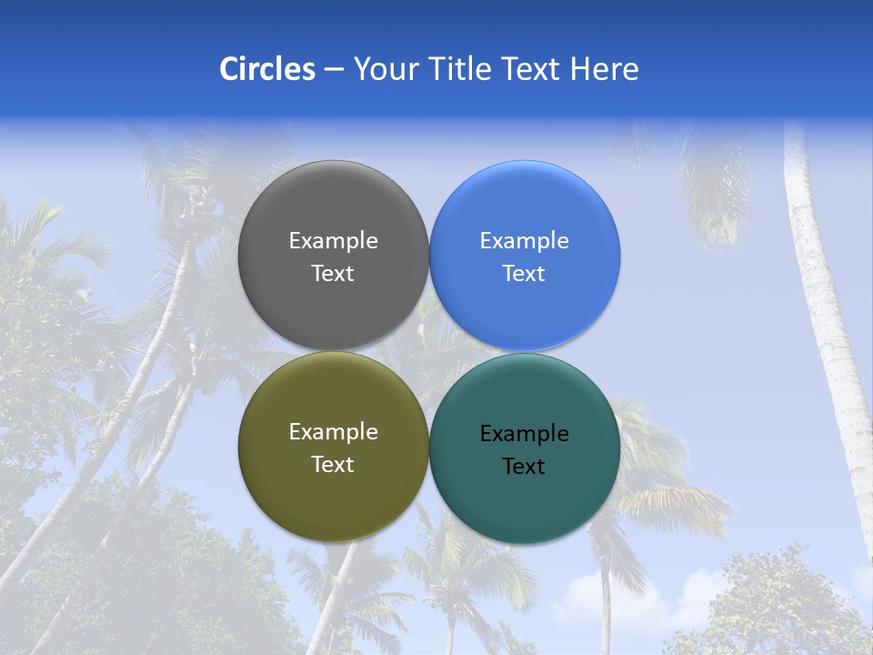 A Powerpoint Presentation With Palm Trees And Blue Sky PowerPoint Template