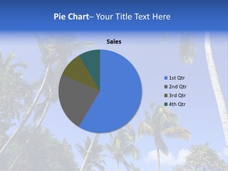 A Powerpoint Presentation With Palm Trees And Blue Sky PowerPoint Template