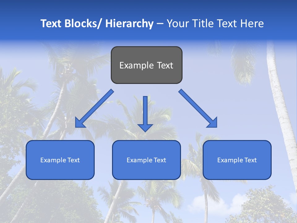 A Powerpoint Presentation With Palm Trees And Blue Sky PowerPoint Template