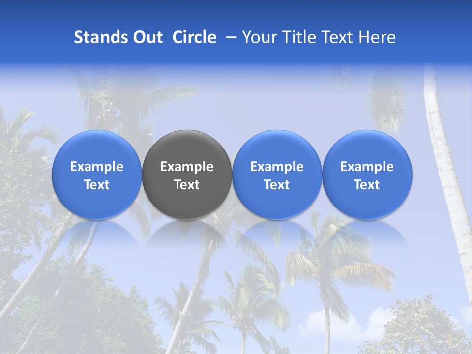 A Powerpoint Presentation With Palm Trees And Blue Sky PowerPoint Template