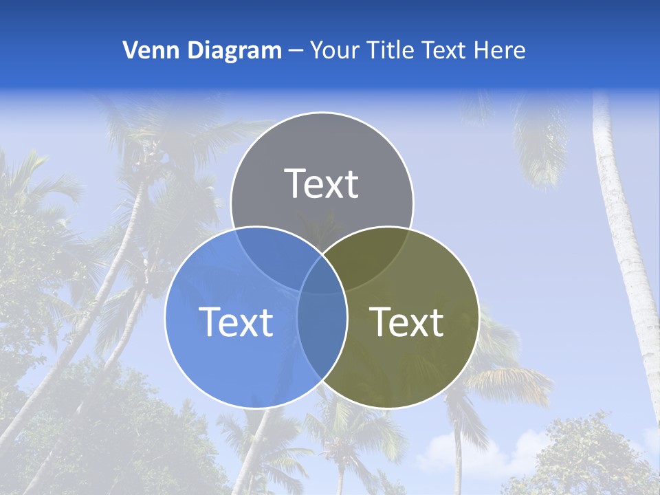 A Powerpoint Presentation With Palm Trees And Blue Sky PowerPoint Template