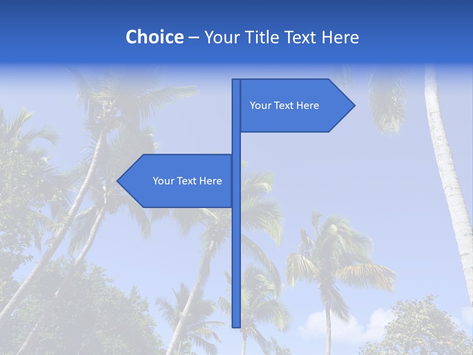 A Powerpoint Presentation With Palm Trees And Blue Sky PowerPoint Template