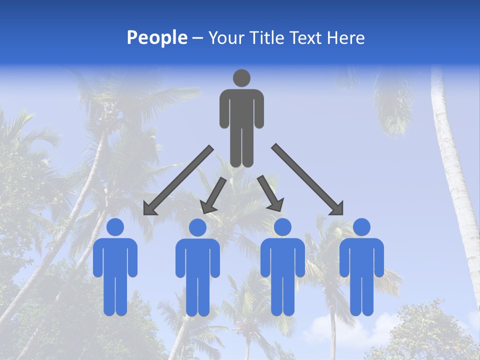 A Powerpoint Presentation With Palm Trees And Blue Sky PowerPoint Template