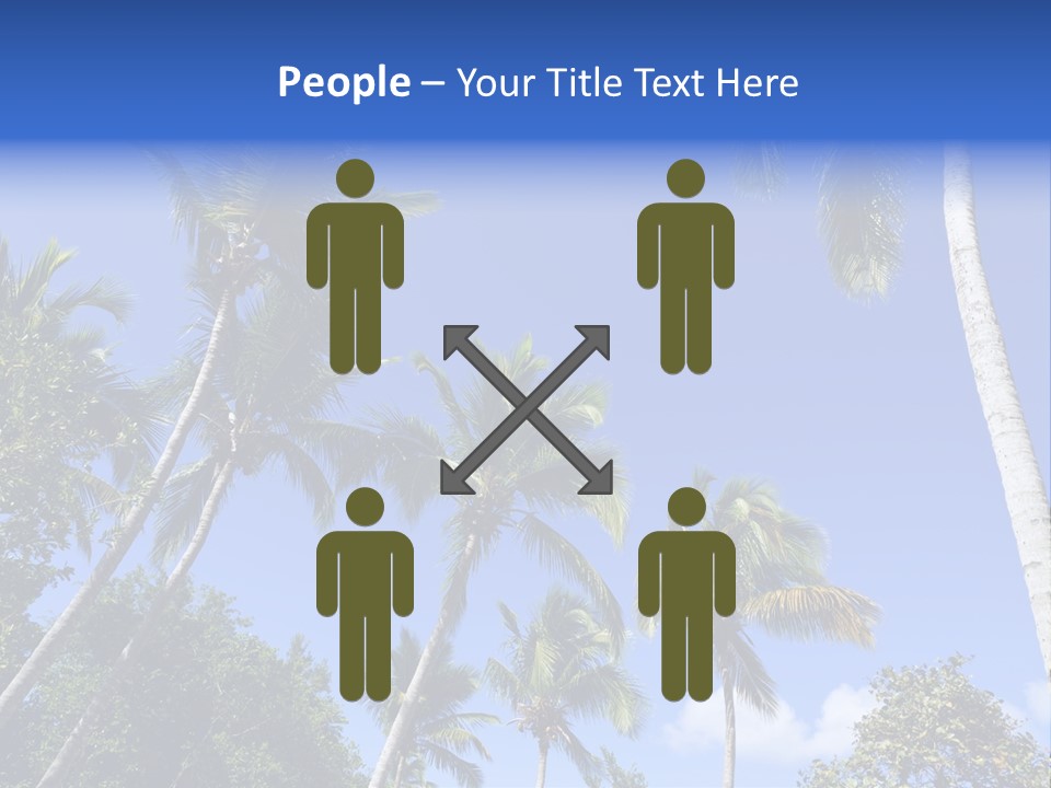 A Powerpoint Presentation With Palm Trees And Blue Sky PowerPoint Template