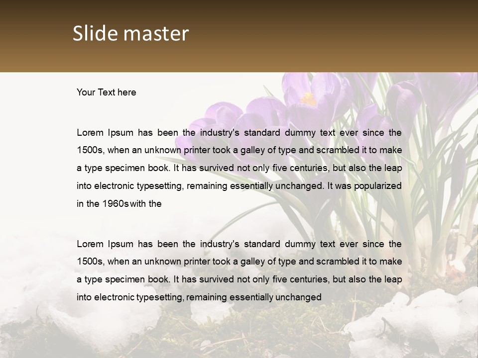 A Group Of Purple Flowers Sitting On Top Of Snow Covered Ground PowerPoint Template