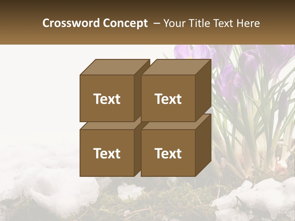 A Group Of Purple Flowers Sitting On Top Of Snow Covered Ground PowerPoint Template