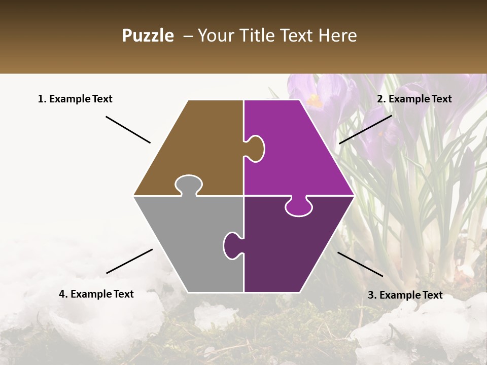 A Group Of Purple Flowers Sitting On Top Of Snow Covered Ground PowerPoint Template