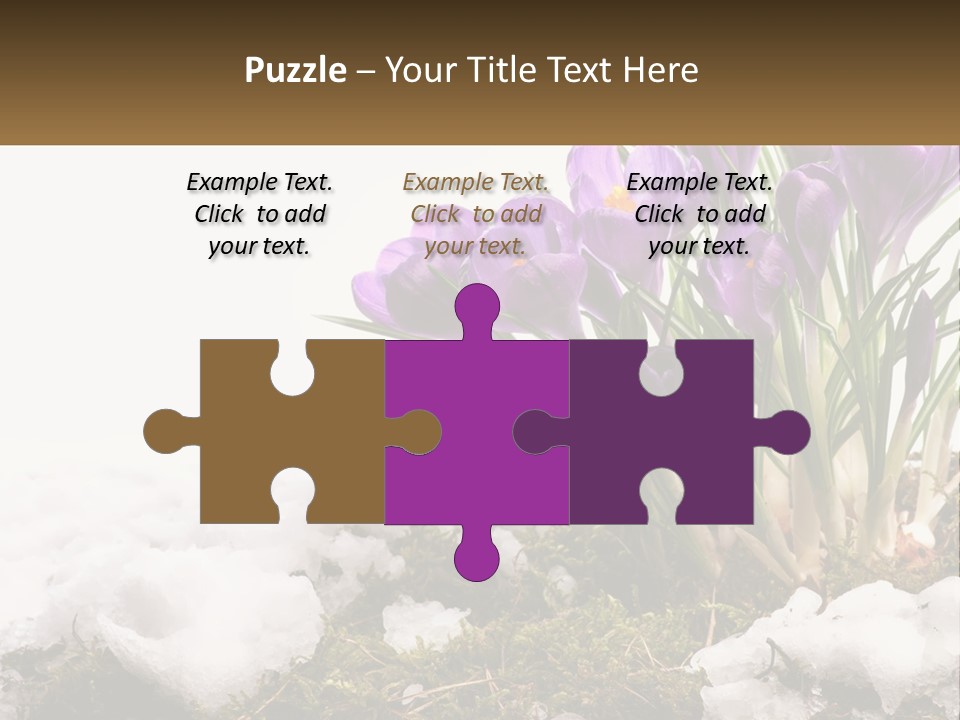 A Group Of Purple Flowers Sitting On Top Of Snow Covered Ground PowerPoint Template