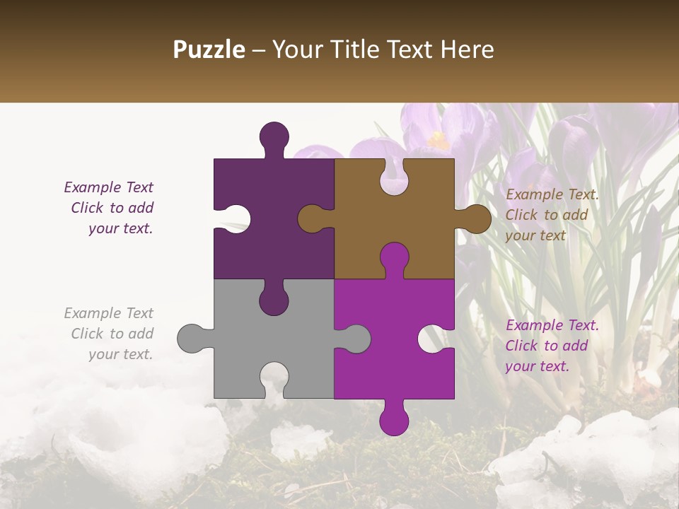A Group Of Purple Flowers Sitting On Top Of Snow Covered Ground PowerPoint Template