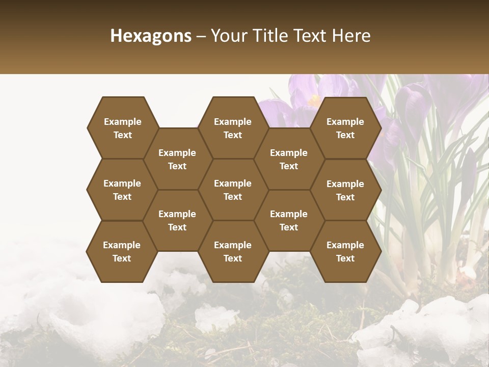 A Group Of Purple Flowers Sitting On Top Of Snow Covered Ground PowerPoint Template