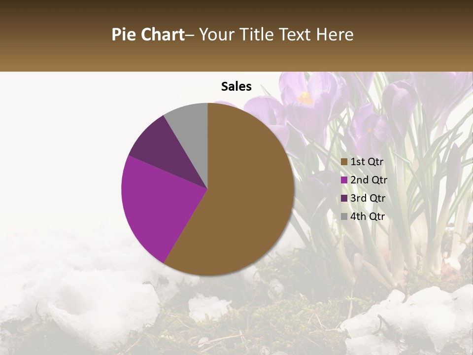 A Group Of Purple Flowers Sitting On Top Of Snow Covered Ground PowerPoint Template