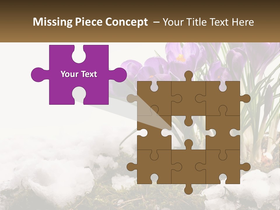 A Group Of Purple Flowers Sitting On Top Of Snow Covered Ground PowerPoint Template