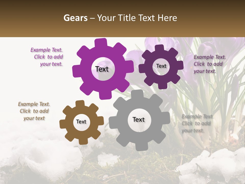 A Group Of Purple Flowers Sitting On Top Of Snow Covered Ground PowerPoint Template