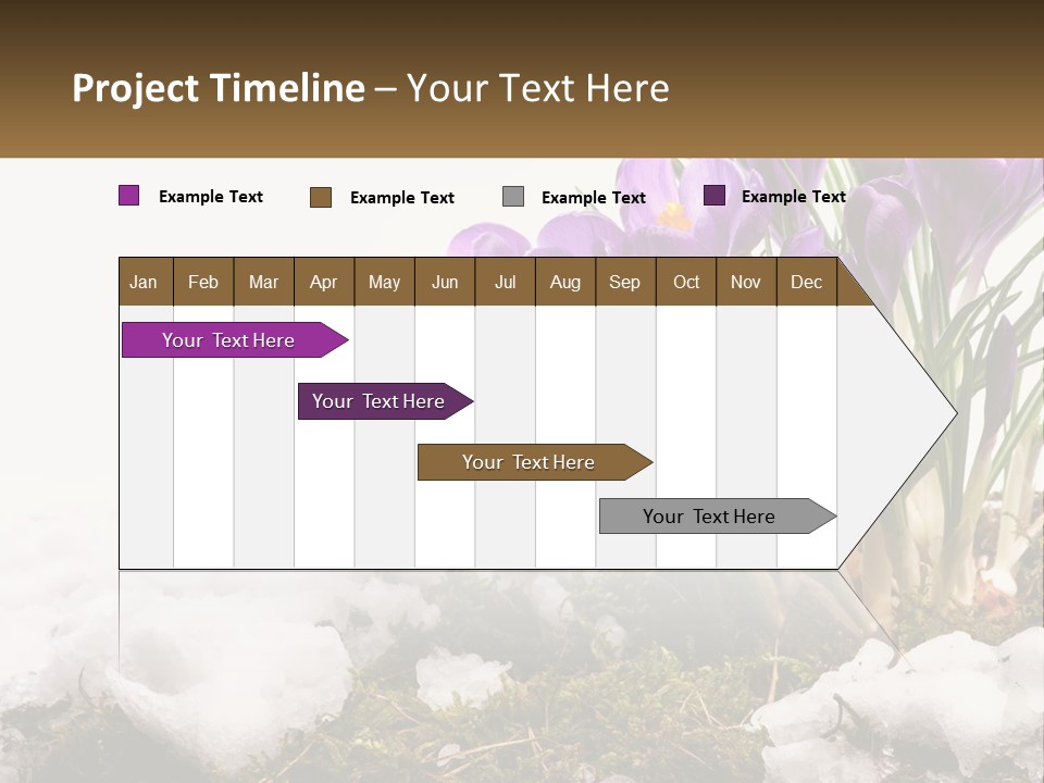 A Group Of Purple Flowers Sitting On Top Of Snow Covered Ground PowerPoint Template