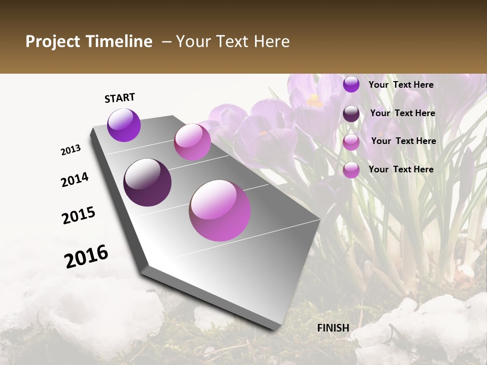 A Group Of Purple Flowers Sitting On Top Of Snow Covered Ground PowerPoint Template