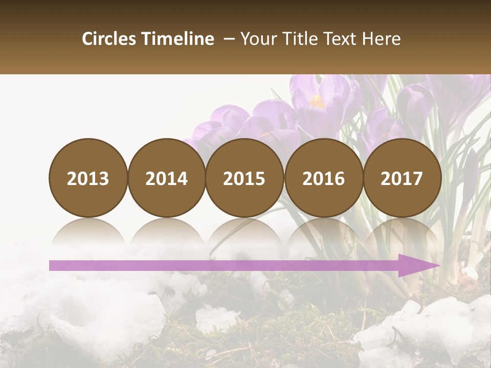 A Group Of Purple Flowers Sitting On Top Of Snow Covered Ground PowerPoint Template