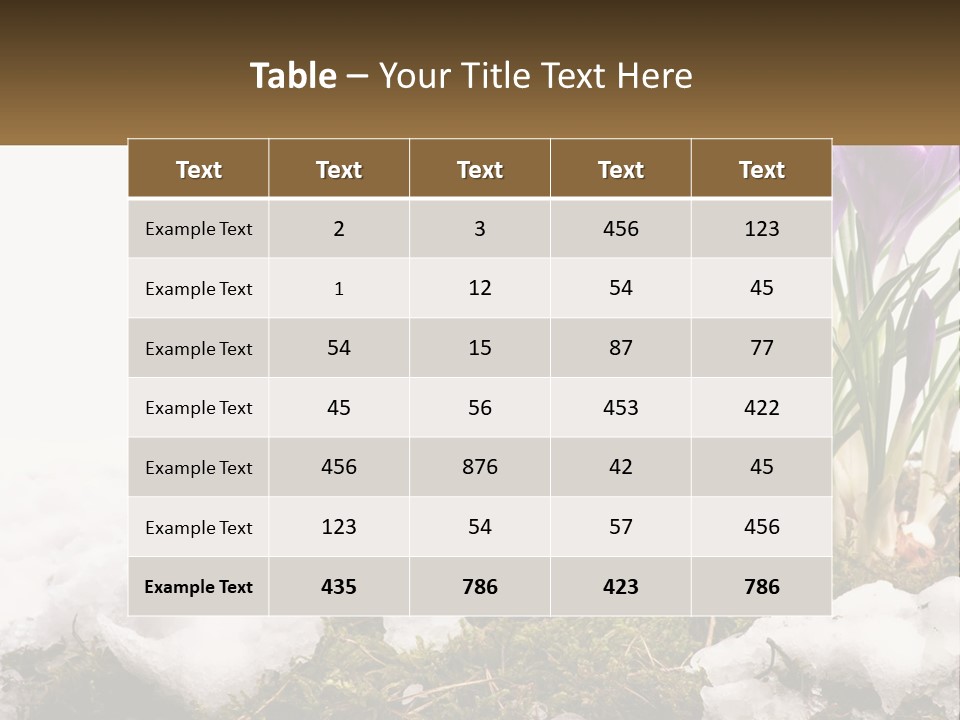 A Group Of Purple Flowers Sitting On Top Of Snow Covered Ground PowerPoint Template