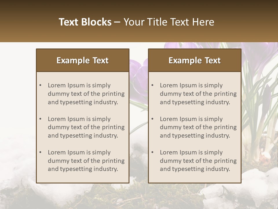 A Group Of Purple Flowers Sitting On Top Of Snow Covered Ground PowerPoint Template