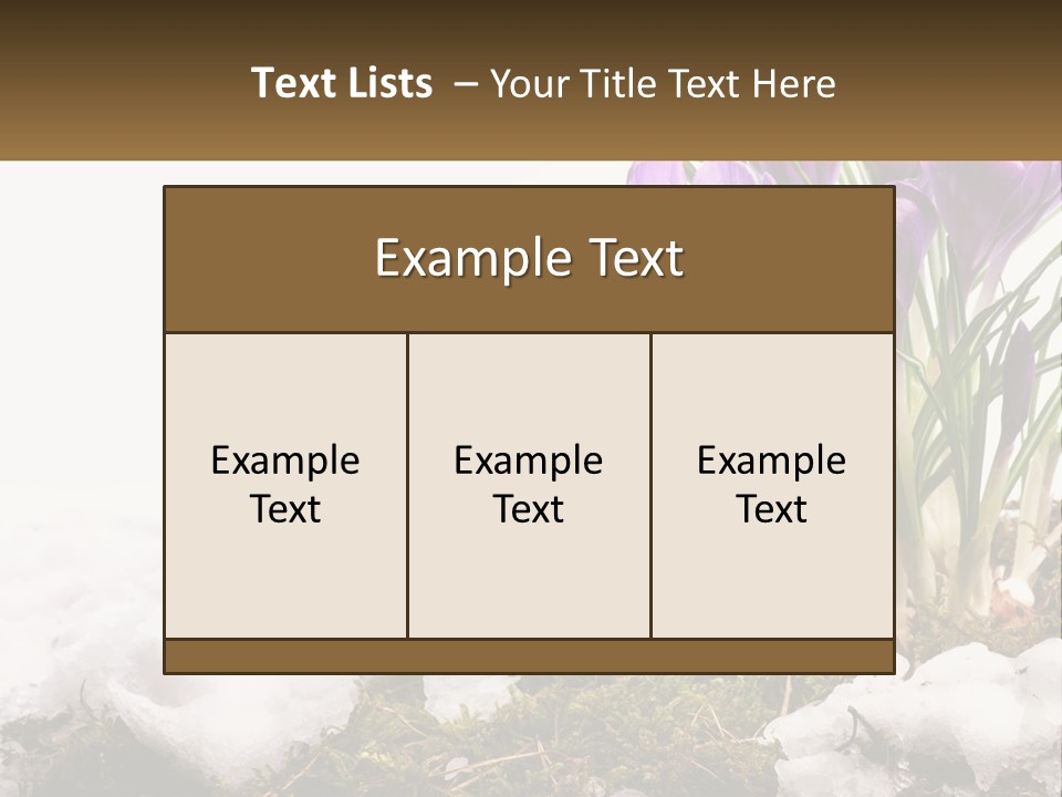 A Group Of Purple Flowers Sitting On Top Of Snow Covered Ground PowerPoint Template