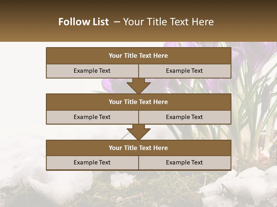 A Group Of Purple Flowers Sitting On Top Of Snow Covered Ground PowerPoint Template