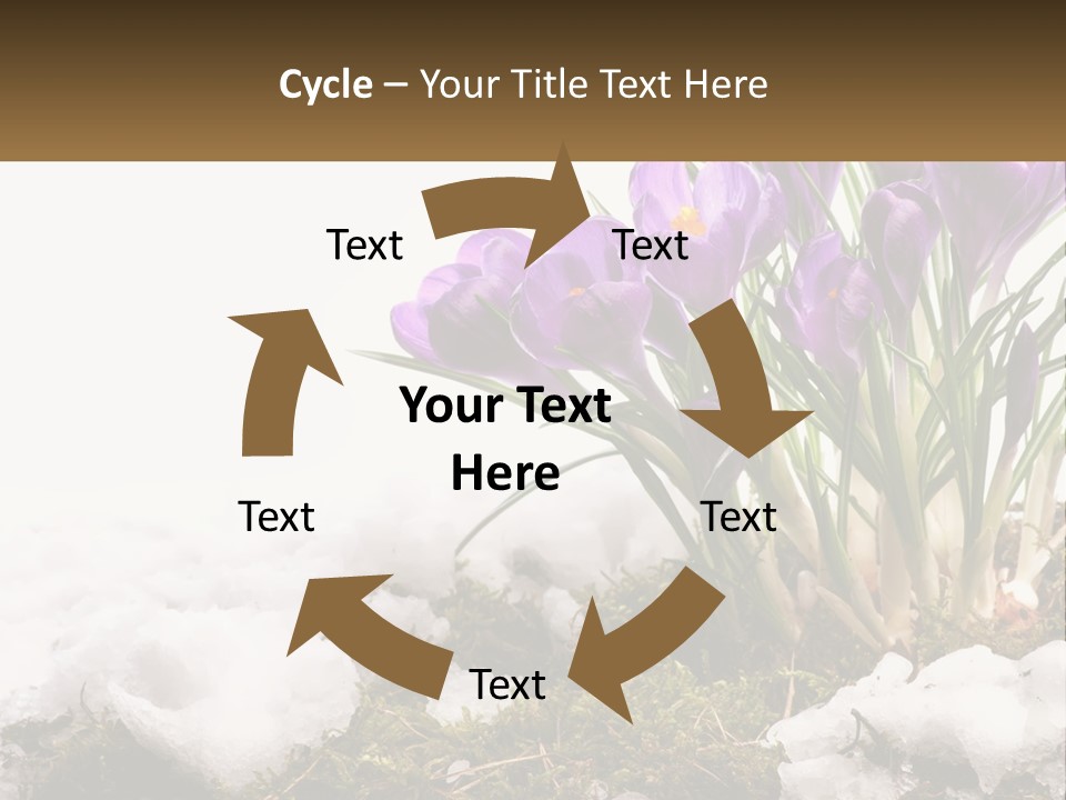A Group Of Purple Flowers Sitting On Top Of Snow Covered Ground PowerPoint Template