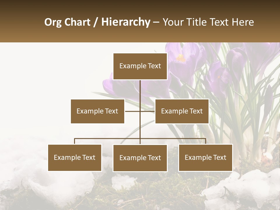 A Group Of Purple Flowers Sitting On Top Of Snow Covered Ground PowerPoint Template
