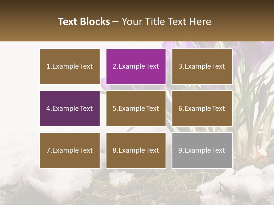 A Group Of Purple Flowers Sitting On Top Of Snow Covered Ground PowerPoint Template