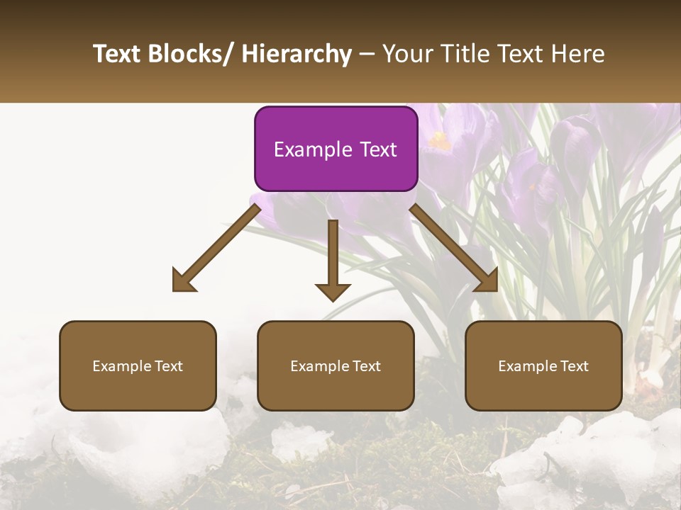 A Group Of Purple Flowers Sitting On Top Of Snow Covered Ground PowerPoint Template
