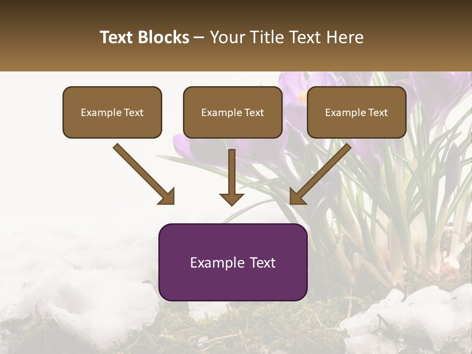 A Group Of Purple Flowers Sitting On Top Of Snow Covered Ground PowerPoint Template
