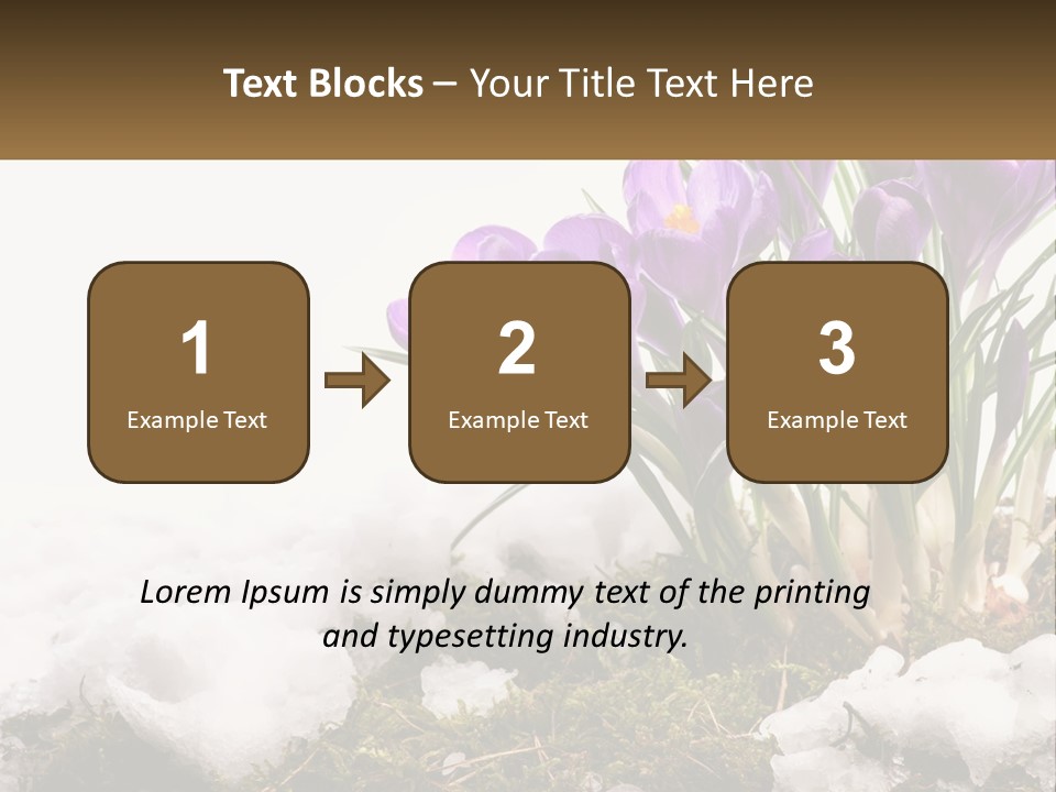 A Group Of Purple Flowers Sitting On Top Of Snow Covered Ground PowerPoint Template