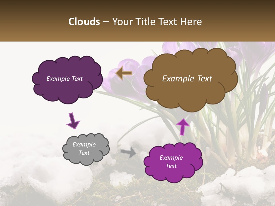 A Group Of Purple Flowers Sitting On Top Of Snow Covered Ground PowerPoint Template