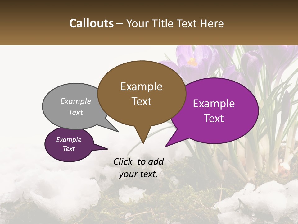 A Group Of Purple Flowers Sitting On Top Of Snow Covered Ground PowerPoint Template