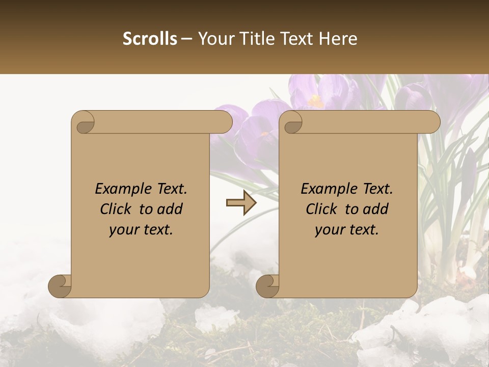 A Group Of Purple Flowers Sitting On Top Of Snow Covered Ground PowerPoint Template