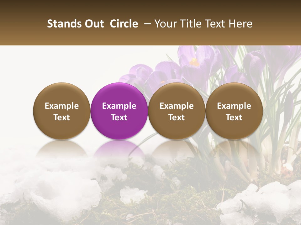 A Group Of Purple Flowers Sitting On Top Of Snow Covered Ground PowerPoint Template
