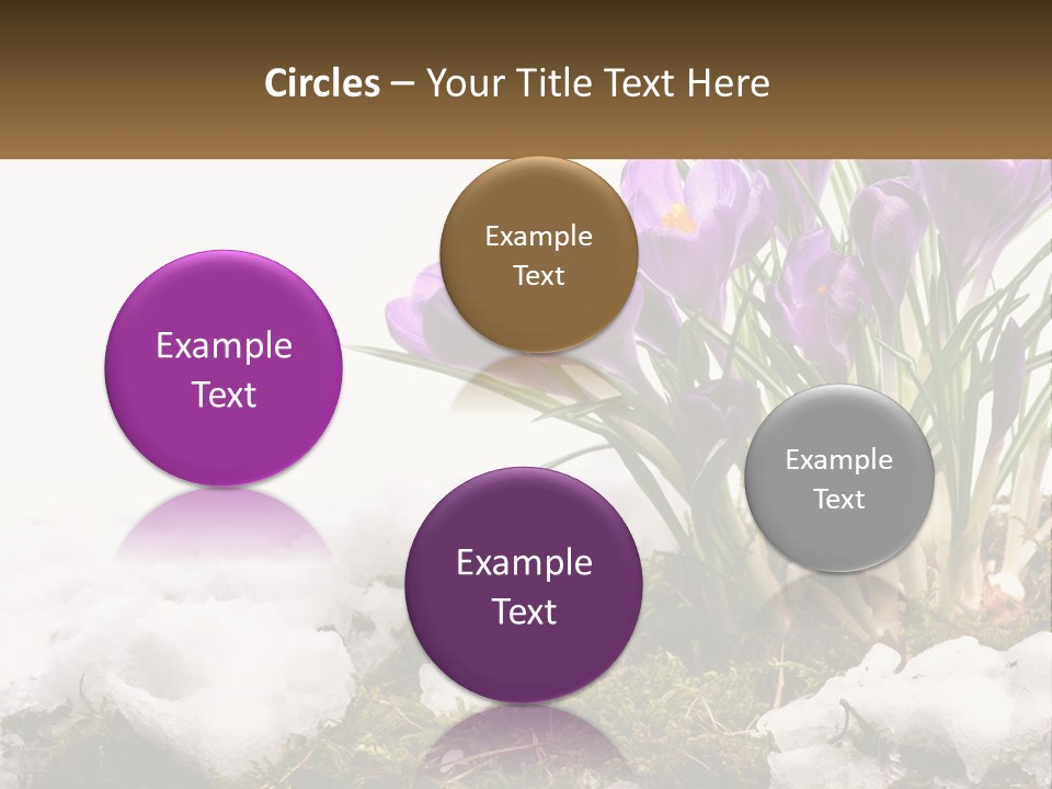 A Group Of Purple Flowers Sitting On Top Of Snow Covered Ground PowerPoint Template