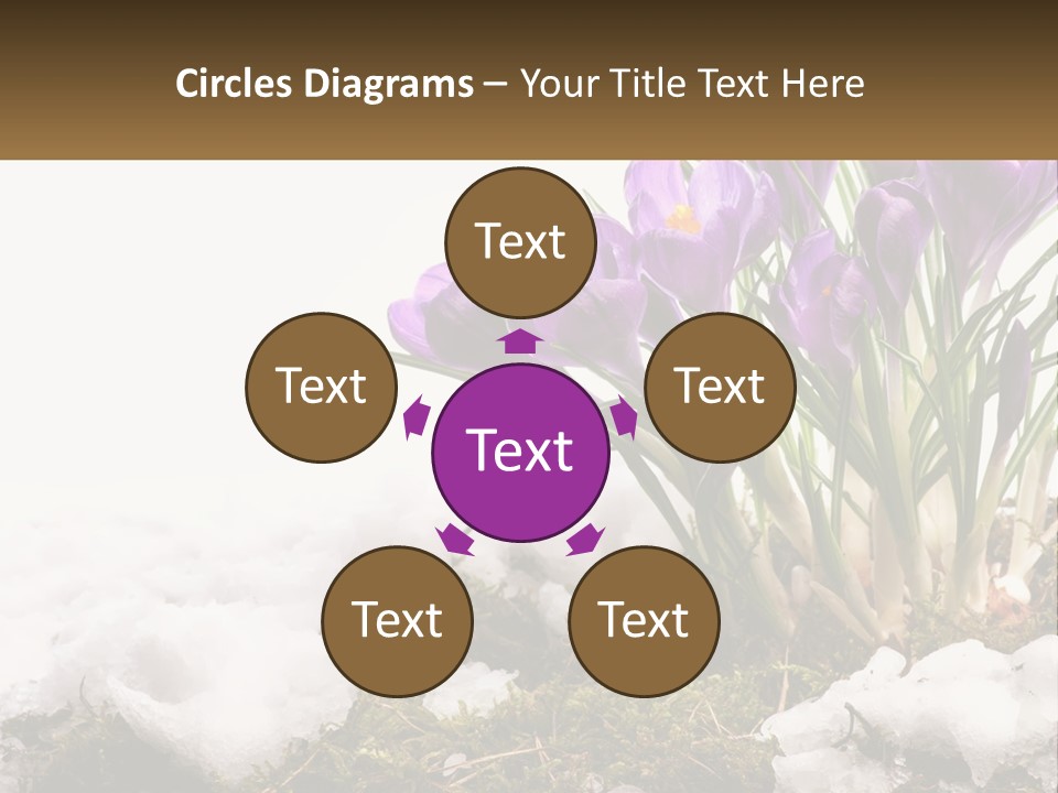 A Group Of Purple Flowers Sitting On Top Of Snow Covered Ground PowerPoint Template