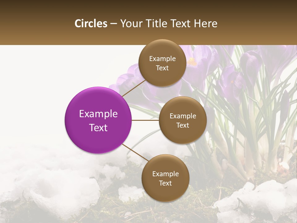 A Group Of Purple Flowers Sitting On Top Of Snow Covered Ground PowerPoint Template