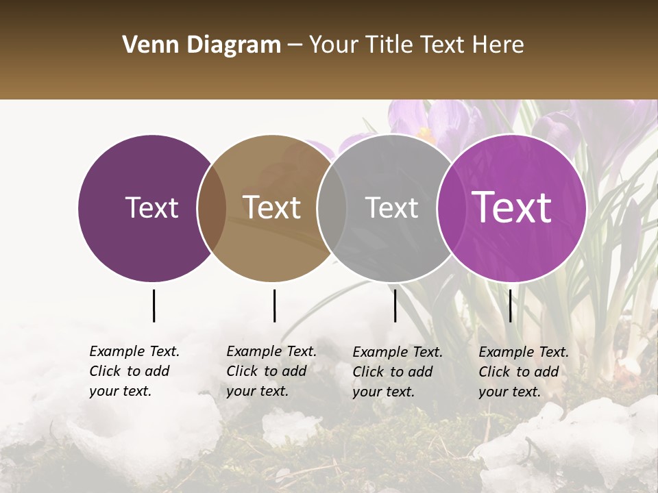 A Group Of Purple Flowers Sitting On Top Of Snow Covered Ground PowerPoint Template