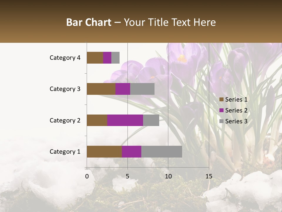 A Group Of Purple Flowers Sitting On Top Of Snow Covered Ground PowerPoint Template